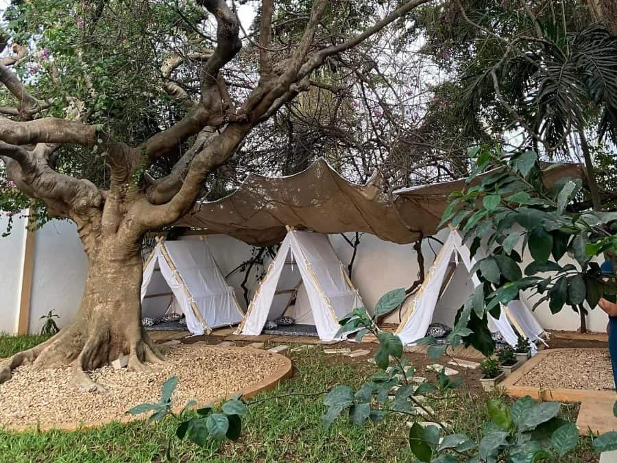 Tentes blanches dressées sous un grand arbre dans un jardin
